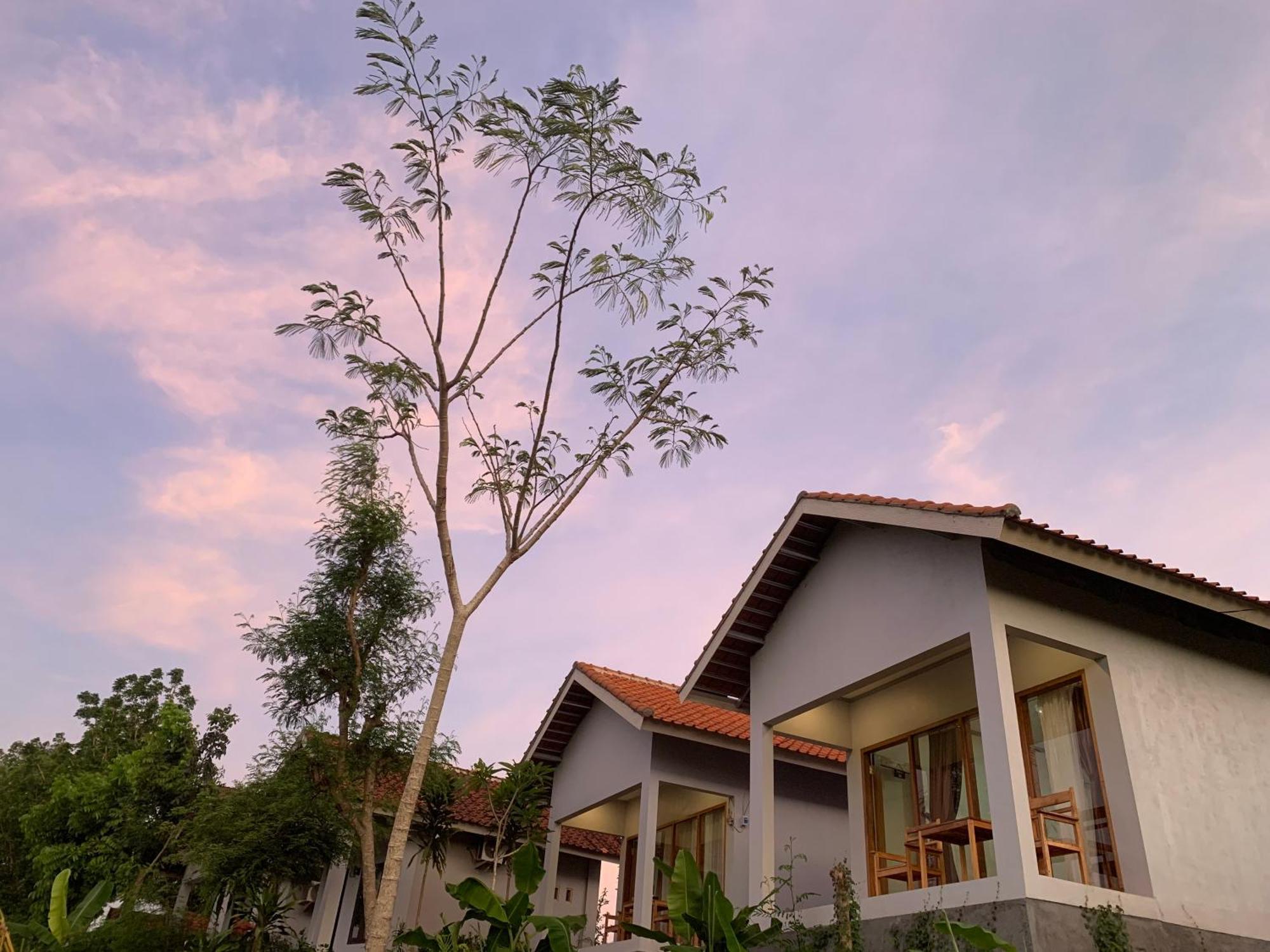 Tommy Homestay Plambi Exteriér fotografie
